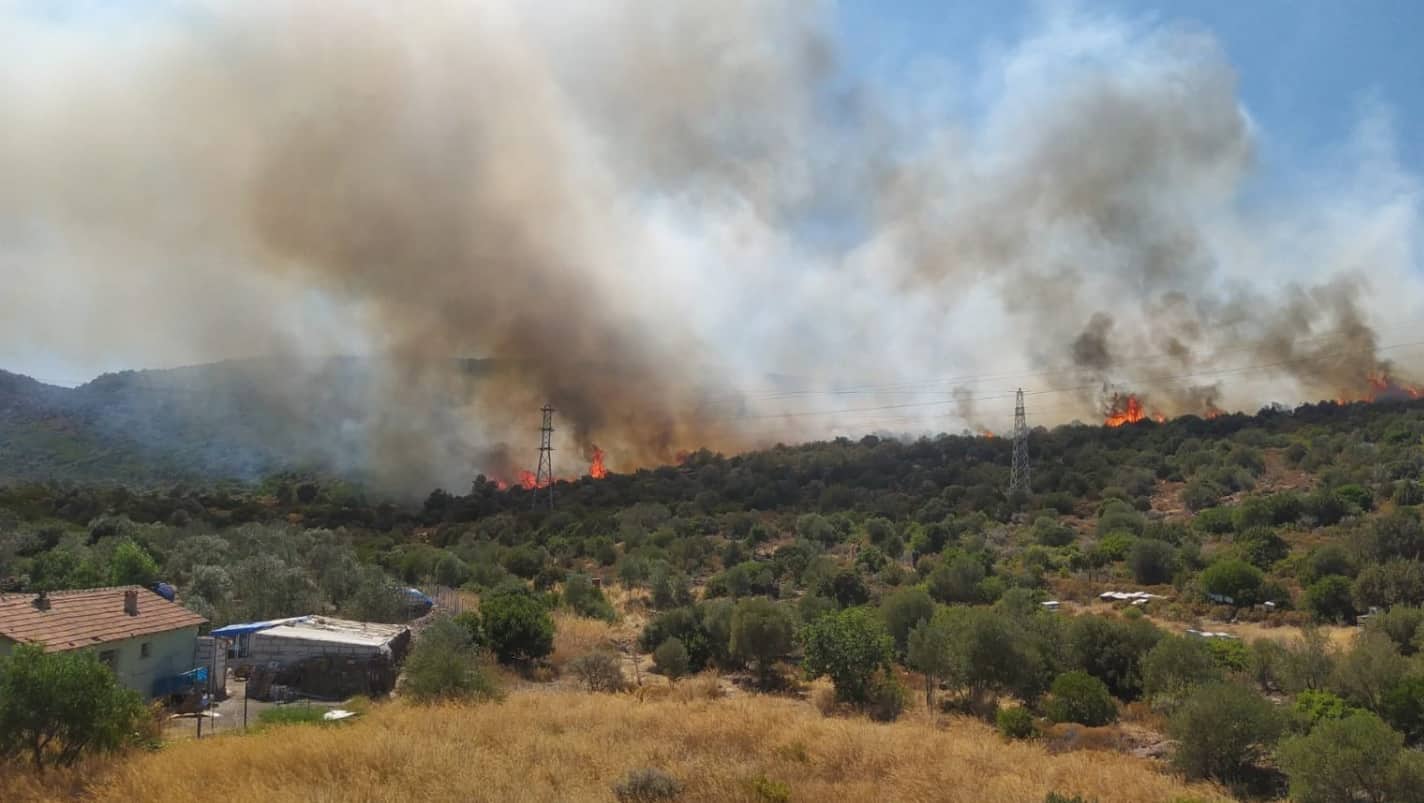Bir yangın daha Urla'nın Balıklıova köyünde başladı!