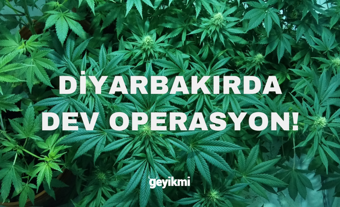 Diyarbakır'da Tarihin En Büyük Uyuşturucu Operasyonu: Milyonlarca Kök Kenevir Ele Geçirildi