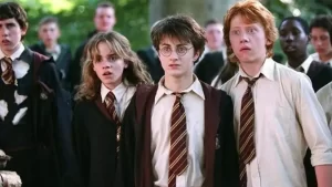 harry potter dizisinin oyuncu kadrosu
